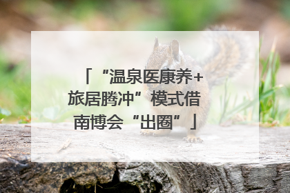 “温泉医康养+旅居腾冲”模式借南博会“出圈”
