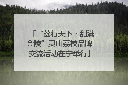 “荔行天下・甜满金陵”灵山荔枝品牌交流活动在宁举行