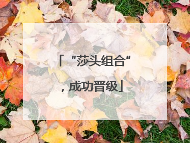 “莎头组合”，成功晋级