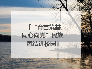 “育苗筑基、同心向党”民族团结进校园