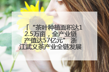 “茶叶种植面积达12.5万亩，全产业链产值达57亿元” 浙江武义茶产业全链发展“加速度”