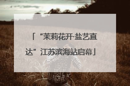 “茉莉花开·盐艺直达”江苏滨海站启幕
