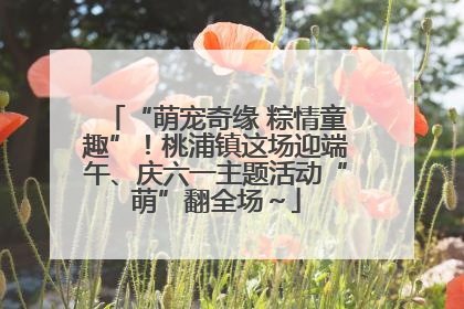 “萌宠奇缘 粽情童趣”！桃浦镇这场迎端午、庆六一主题活动“萌”翻全场～