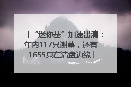 “迷你基”加速出清：年内117只谢幕，还有1655只在清盘边缘