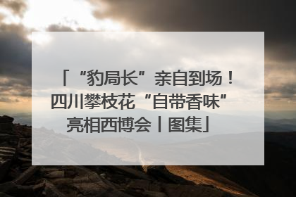 “豹局长”亲自到场！四川攀枝花“自带香味”亮相西博会丨图集