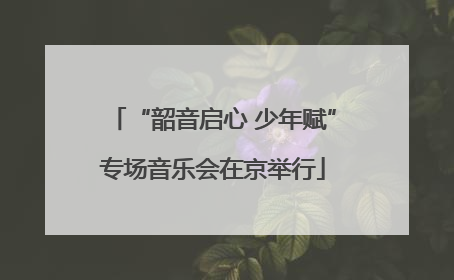 “韶音启心 少年赋”专场音乐会在京举行