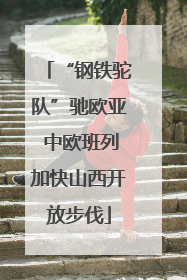 “钢铁驼队”驰欧亚 中欧班列加快山西开放步伐