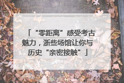 “零距离”感受考古魅力，浙些场馆让你与历史“亲密接触”