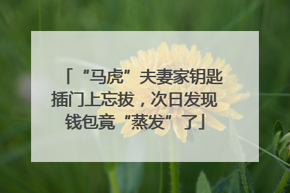 “马虎”夫妻家钥匙插门上忘拔，次日发现钱包竟“蒸发”了