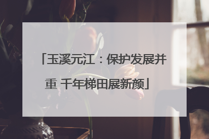 玉溪元江：保护发展并重 千年梯田展新颜