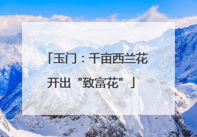 玉门：千亩西兰花开出“致富花”