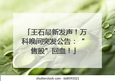 王石最新发声！万科晚间突发公告：“售股”回血！