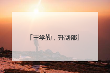 王学勤，升副部