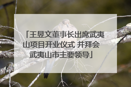 王昱文董事长出席武夷山项目开业仪式 并拜会武夷山市主要领导