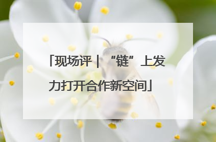现场评｜“链”上发力打开合作新空间