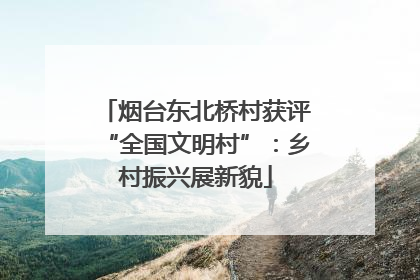 烟台东北桥村获评“全国文明村”：乡村振兴展新貌