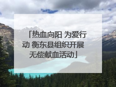 热血向阳 为爱行动 衡东县组织开展无偿献血活动