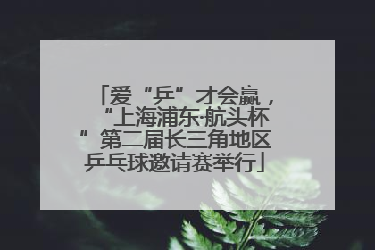 爱“乒”才会赢，“上海浦东·航头杯”第二届长三角地区乒乓球邀请赛举行