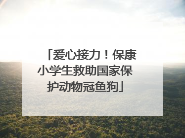 爱心接力！保康小学生救助国家保护动物冠鱼狗
