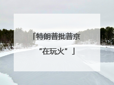 特朗普批普京“在玩火”