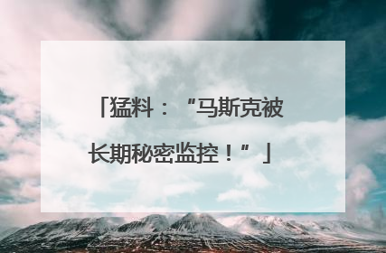 猛料：“马斯克被长期秘密监控！”