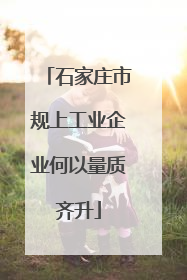 石家庄市规上工业企业何以量质齐升