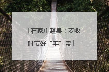 石家庄赵县：麦收时节好“丰”景