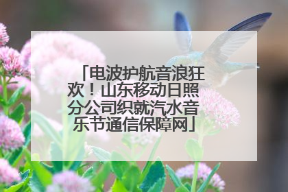 电波护航音浪狂欢！山东移动日照分公司织就汽水音乐节通信保障网