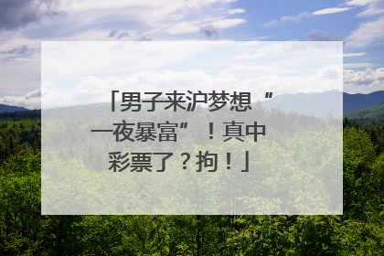 男子来沪梦想“一夜暴富”！真中彩票了？拘！