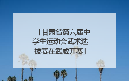 甘肃省第六届中学生运动会武术选拔赛在武威开赛