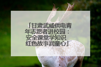 甘肃武威供电青年志愿者进校园：安全课堂学知识 红色故事润童心