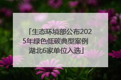生态环境部公布2025年绿色低碳典型案例 湖北6家单位入选
