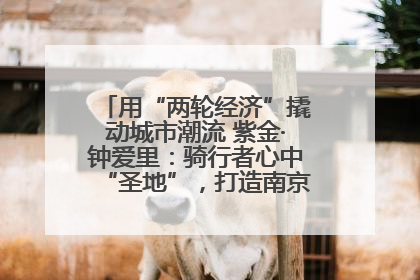 用“两轮经济”撬动城市潮流 紫金·钟爱里：骑行者心中“圣地”，打造南京的“阿那亚”