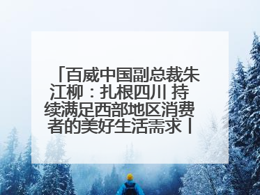 百威中国副总裁朱江柳：扎根四川 持续满足西部地区消费者的美好生活需求丨西望四川