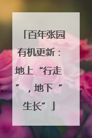 百年张园有机更新：地上“行走”，地下“生长”