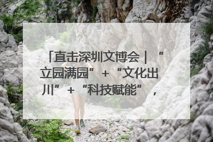 直击深圳文博会｜“立园满园”+“文化出川”+“科技赋能”，成都传媒发布三大文创领域合作清单