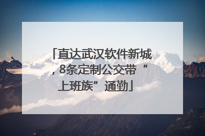 直达武汉软件新城，8条定制公交带“上班族”通勤