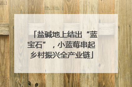 盐碱地上结出“蓝宝石”，小蓝莓串起乡村振兴全产业链