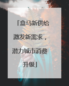盒马新供给激发新需求，潜力城市消费升级