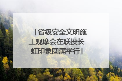 省级安全文明施工观摩会在联投长虹印象圆满举行