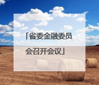 省委金融委员会召开会议