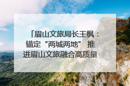 眉山文旅局长王枫：锚定“两城两地” 推进眉山文旅融合高质量发展｜文旅局长说