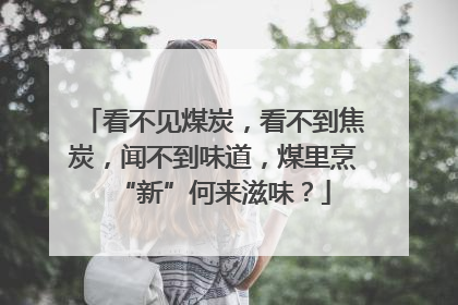 看不见煤炭，看不到焦炭，闻不到味道，煤里烹“新”何来滋味？