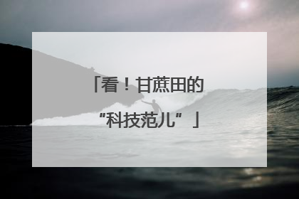 看！甘蔗田的“科技范儿”