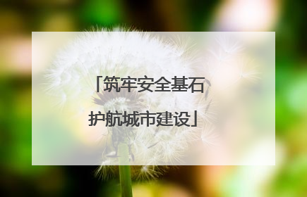 筑牢安全基石 护航城市建设