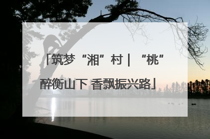 筑梦“湘”村｜“桃”醉衡山下 香飘振兴路