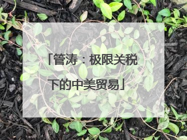 管涛：极限关税下的中美贸易