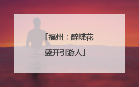 福州：醉蝶花盛开引游人