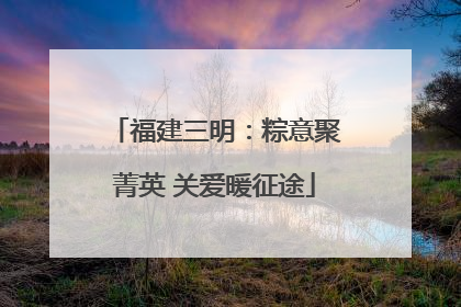 福建三明：粽意聚菁英 关爱暖征途