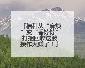 秸秆从“麻烦”变“香饽饽” 打捆回收这波操作太赚了！